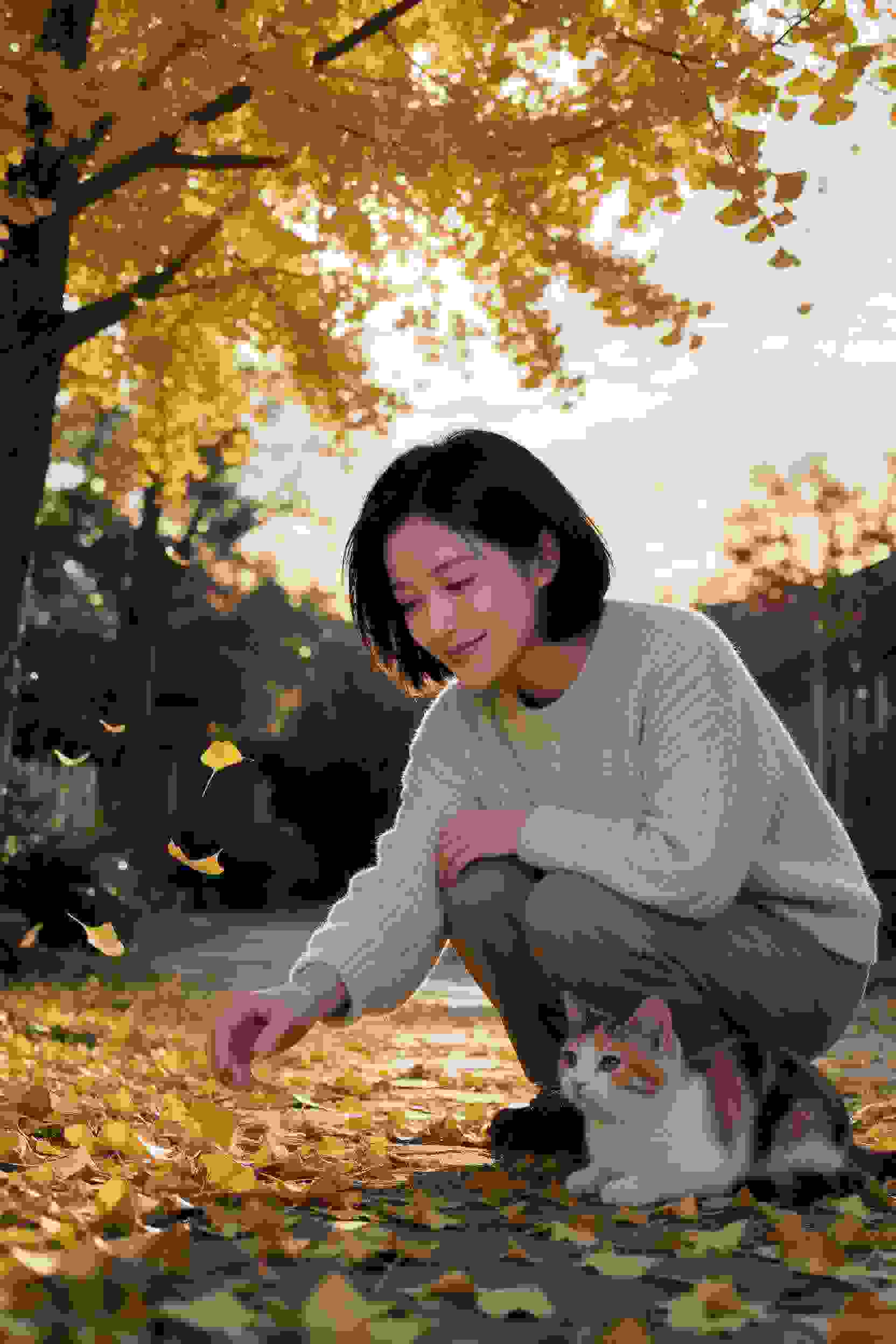 古镇疑云